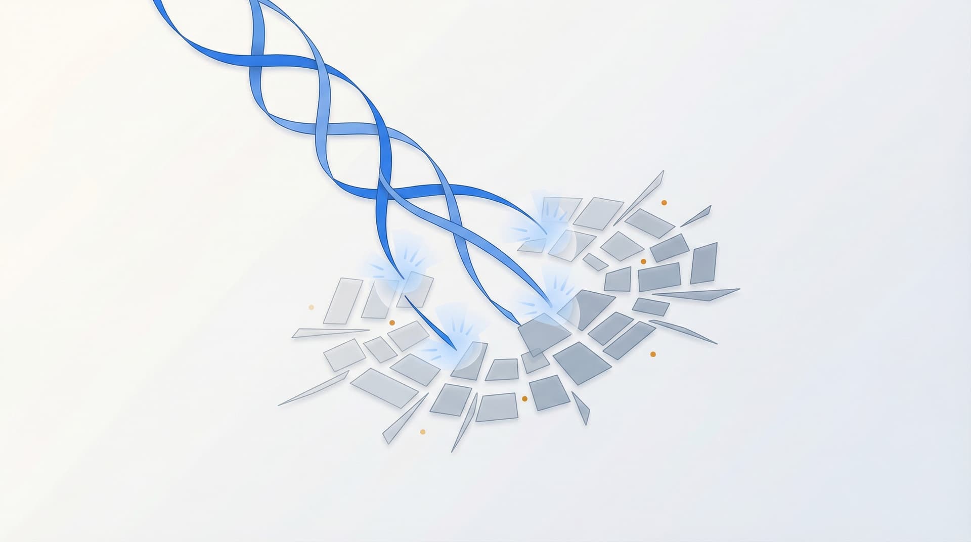 Antimicrobial Peptides for Acne and Skin Infections